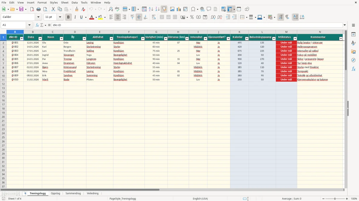 Skjermbilde 1: fanen Treningslogg - Excel-mal treningsdagbok excel mal