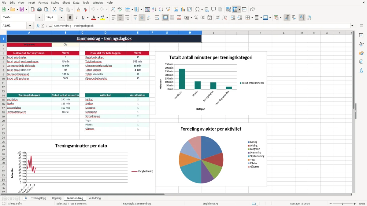 Skjermbilde 3: fanen Sammendrag - Excel-mal treningsdagbok excel mal